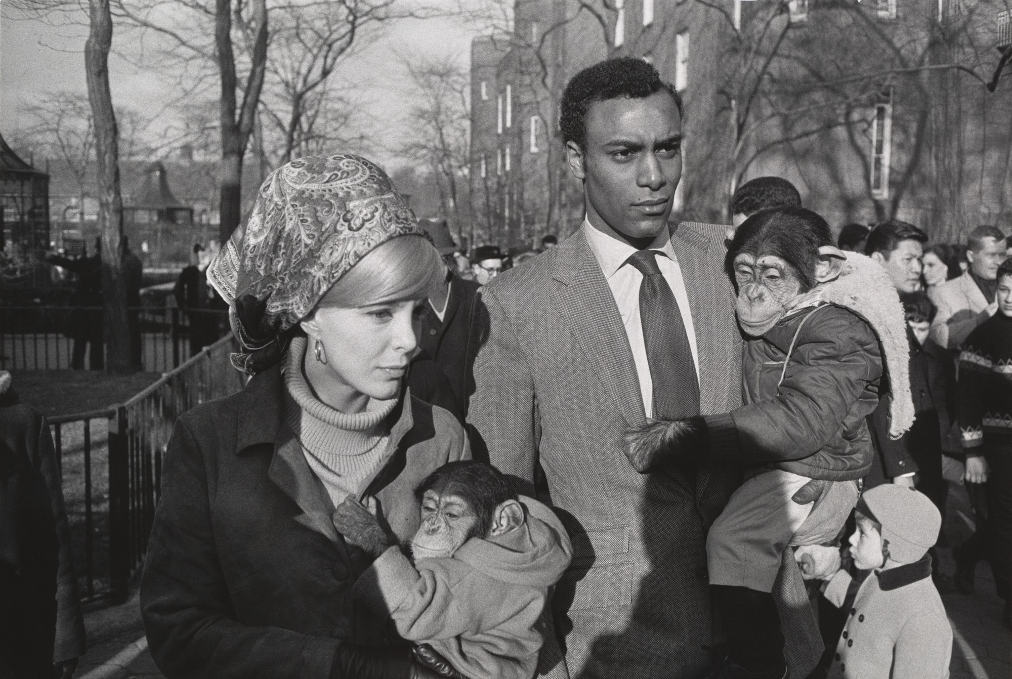 Garry Winogrand’s Central Park Zoo (1967)