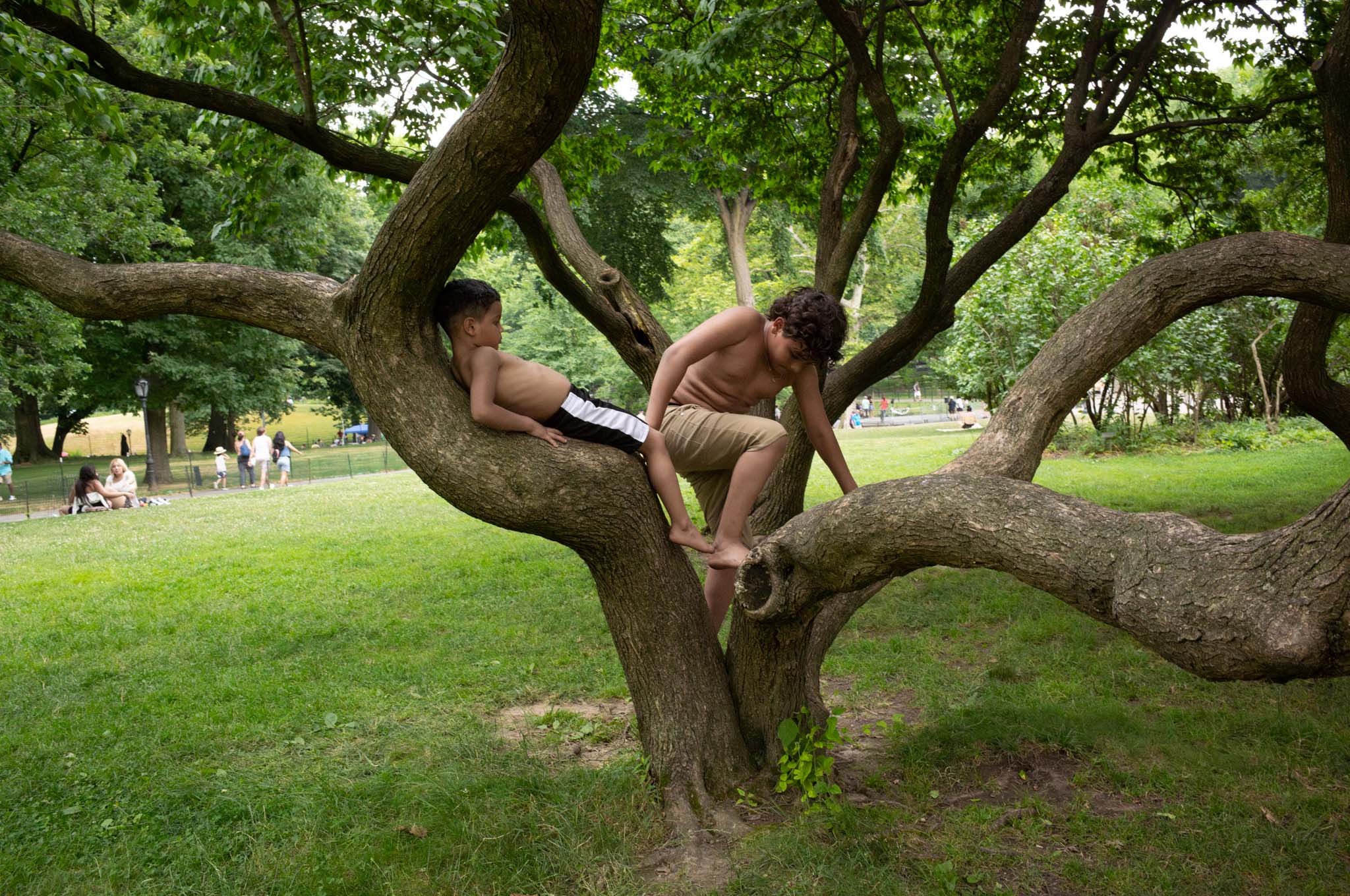 Original unedited park photograph