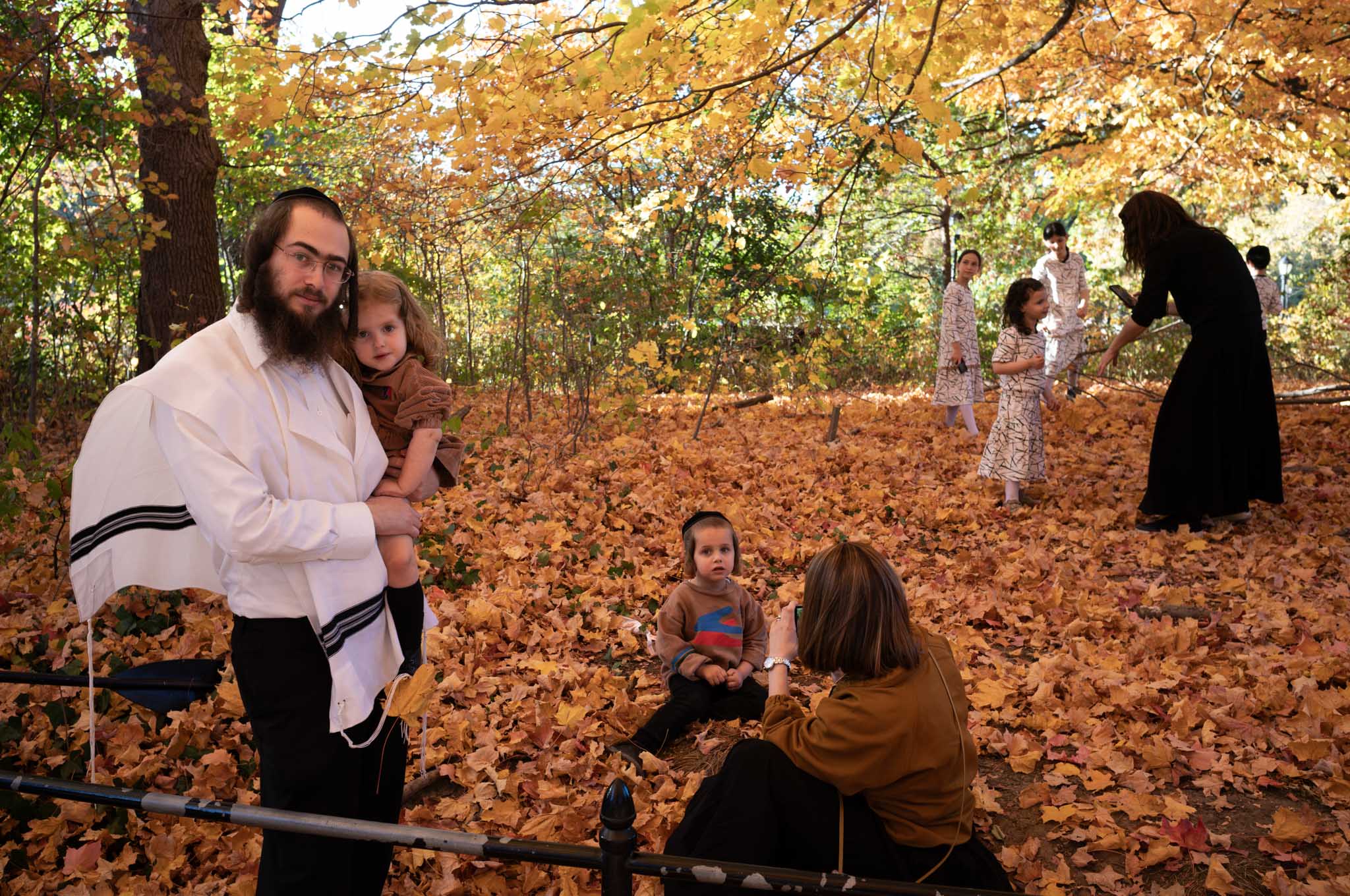 Original unedited autumn photograph